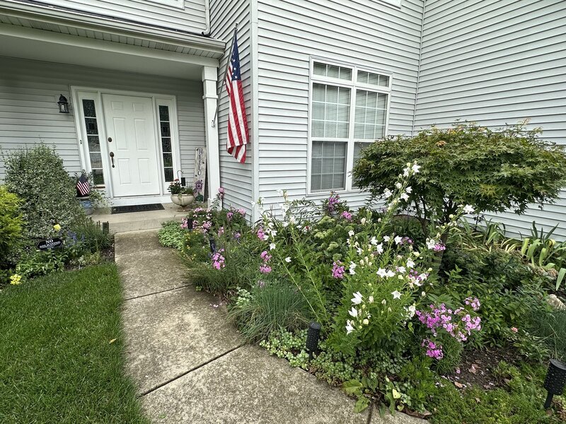 351 Whitewater Lane Oswego IL 60543