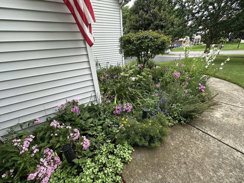 351 Whitewater Lane Oswego IL 60543