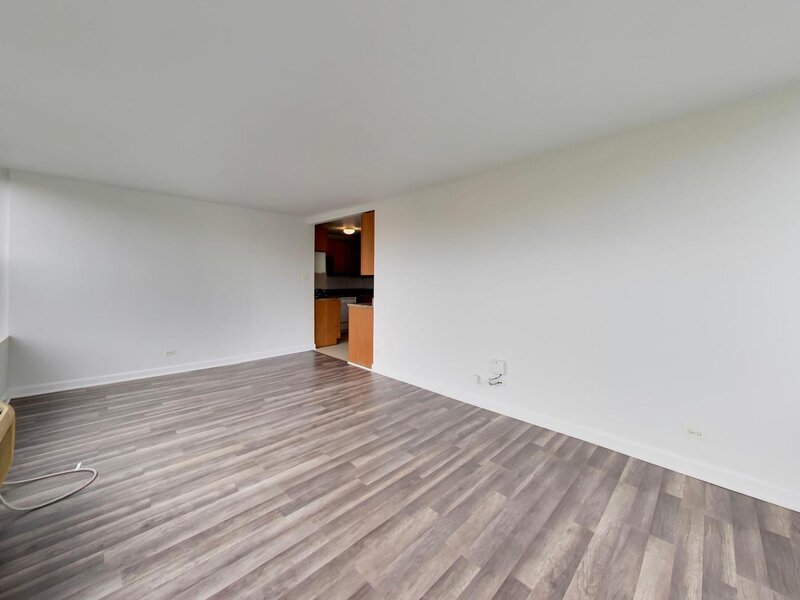 345 E Eastgate Place Chicago IL 60616