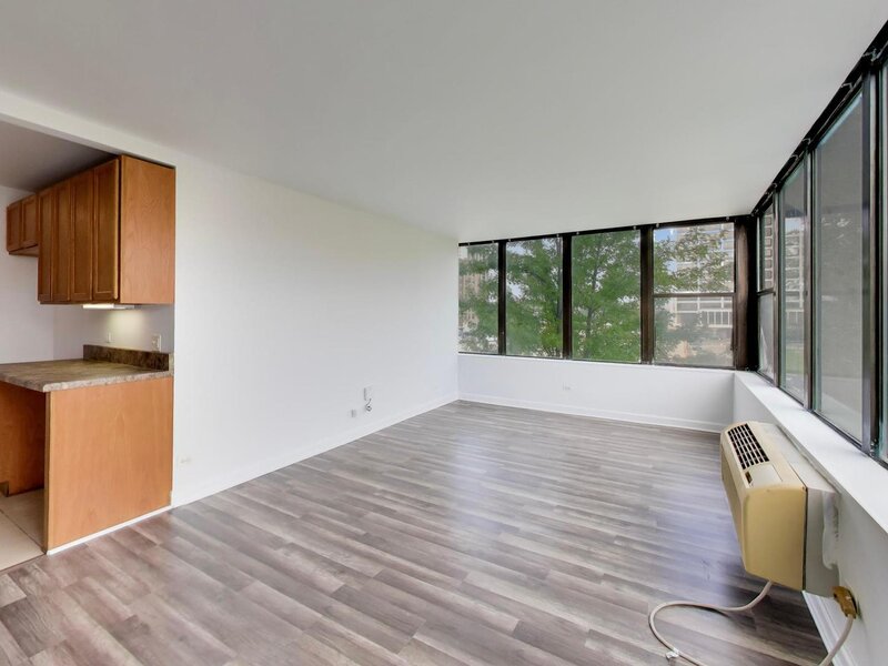 345 E Eastgate Place Chicago IL 60616