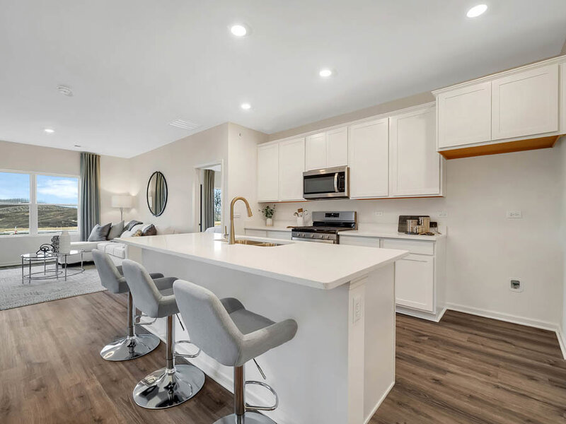 1145 Wood Lily Lane Bartlett IL 60103