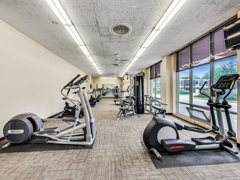 1455 N Sandburg Terrace Chicago IL 60610
