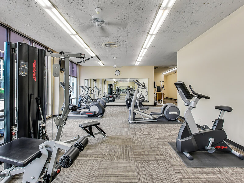 1455 N Sandburg Terrace Chicago IL 60610