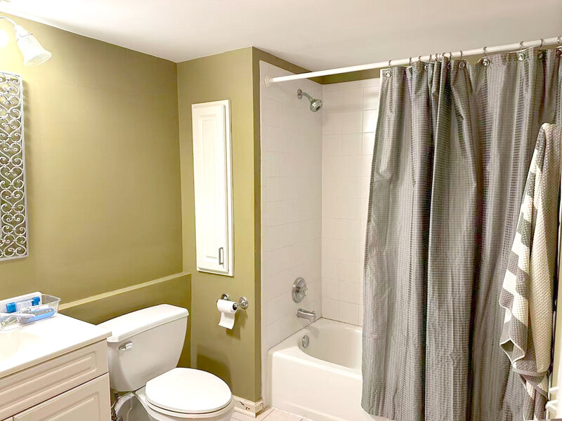 1041 Susan Collins Lane Oak Park IL 60302