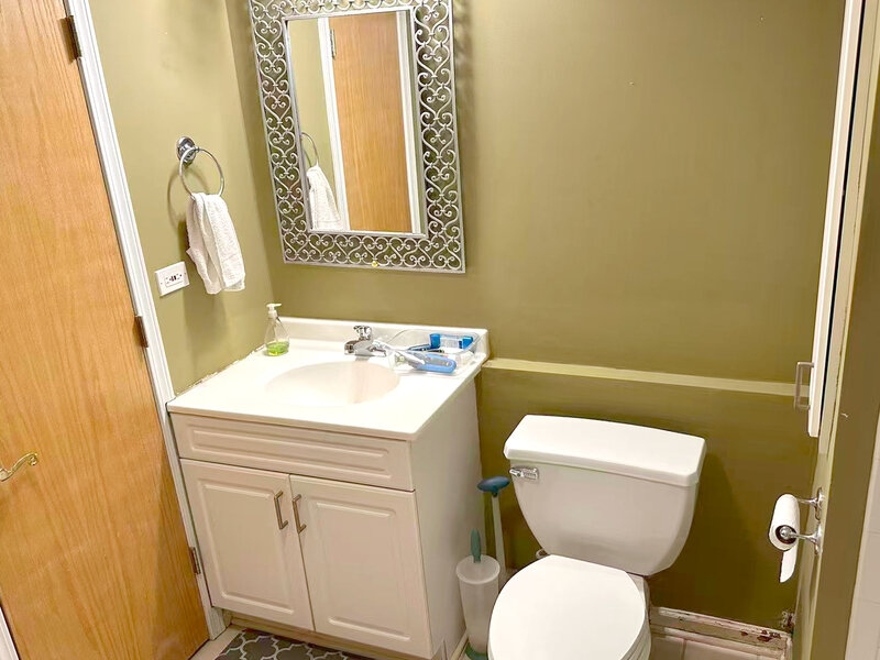 1041 Susan Collins Lane Oak Park IL 60302
