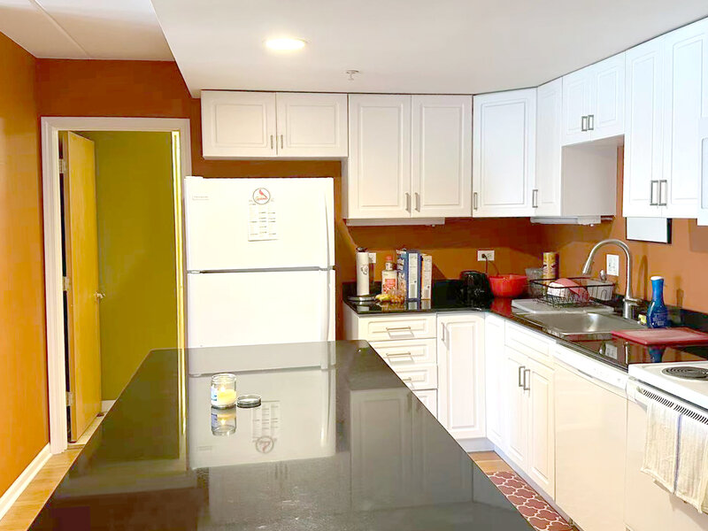 1041 Susan Collins Lane Oak Park IL 60302