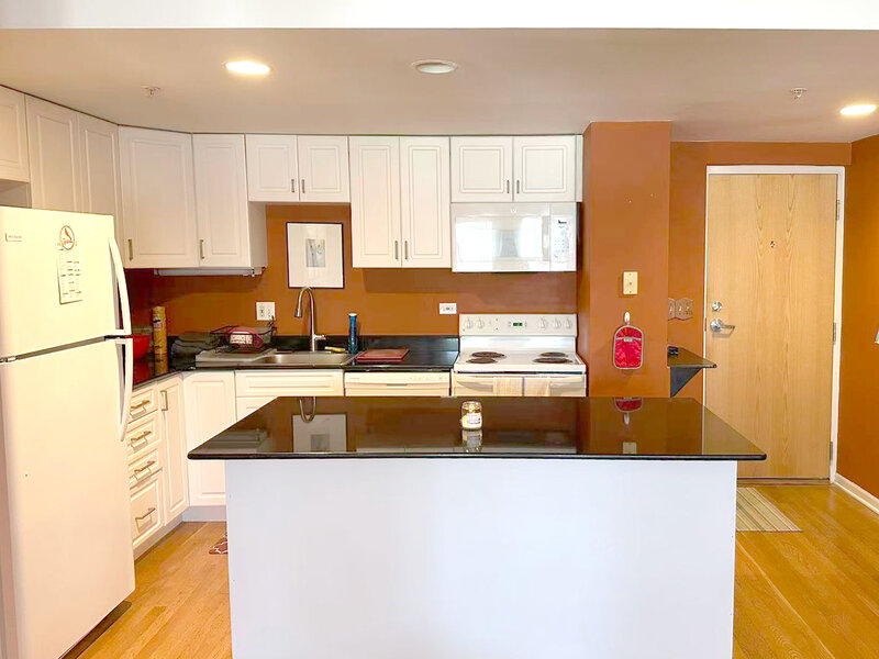 1041 Susan Collins Lane Oak Park IL 60302