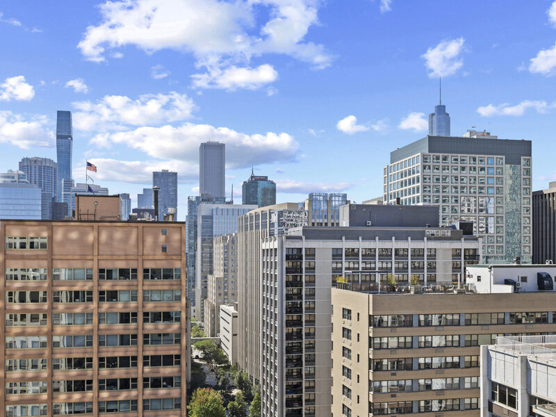 253 E Delaware Place Chicago IL 60611