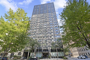 Photo of 253 E Delaware Place Chicago IL 60611 Unit 17D