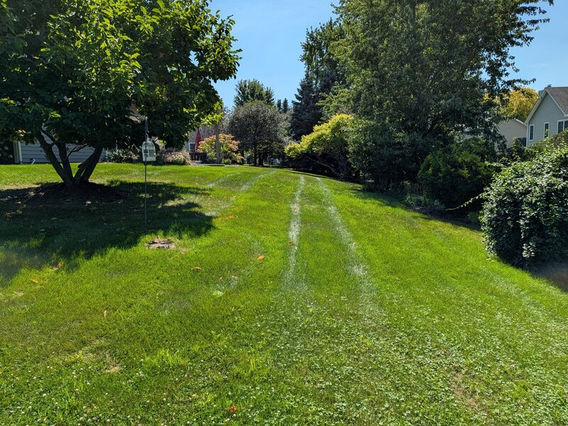 1350 Northgate Court Bartlett IL 60103