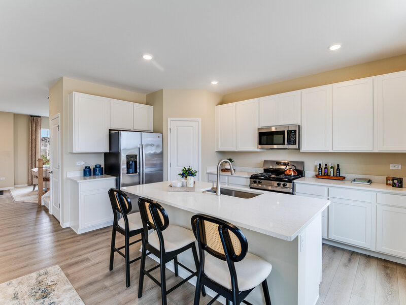 1703 Patoka Lane New Lenox IL 60451