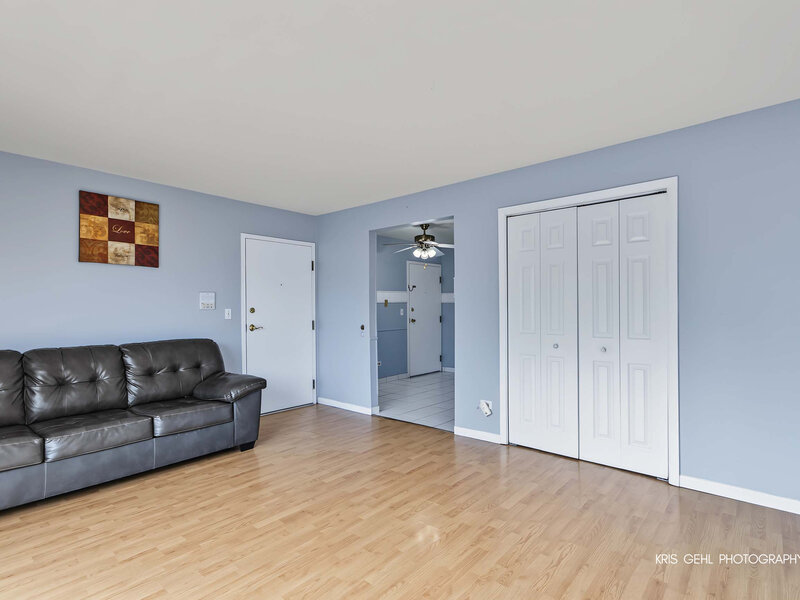 1319 N Baldwin Court Palatine IL 60074