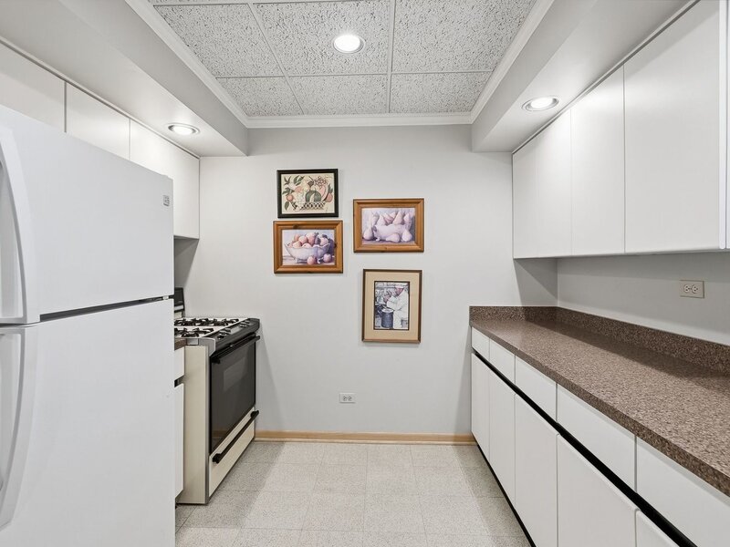 254 Wood Glen Lane Oak Brook IL 60523