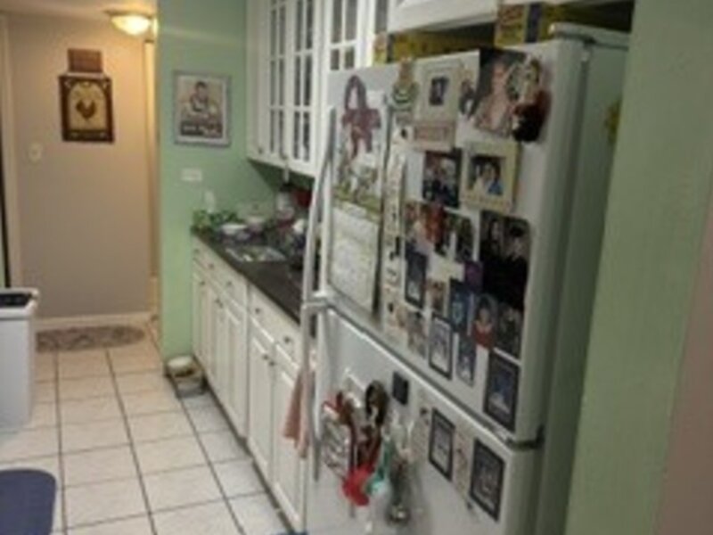 940 Beau Drive Des Plaines IL 60016