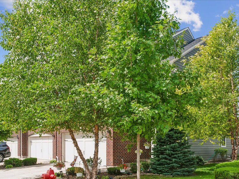 162 Waverly Court Bloomingdale IL 60108