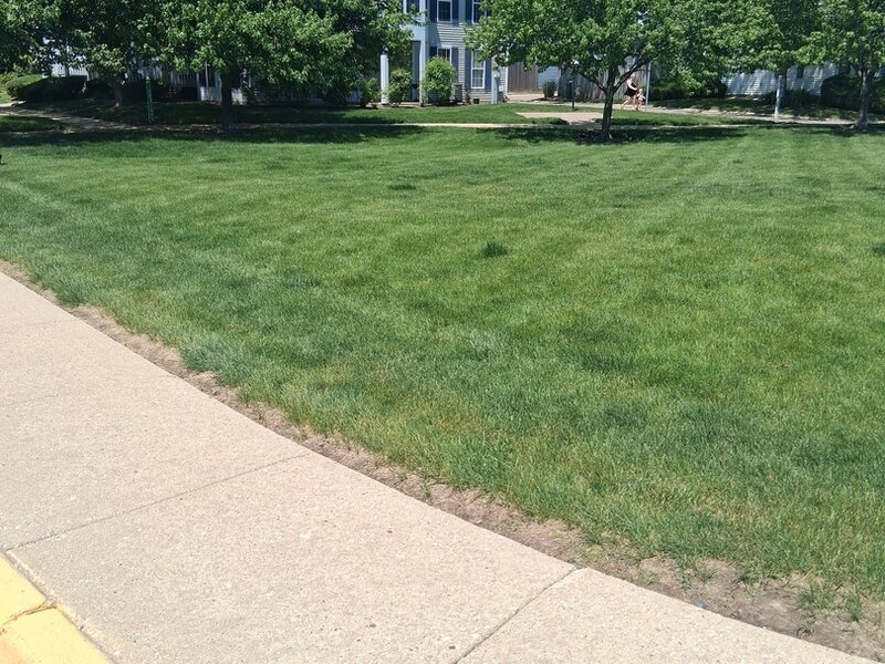 1015 Symphony Drive Aurora IL 60504