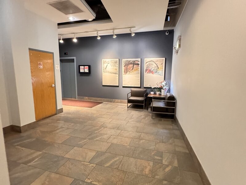 1631 S Michigan Avenue Chicago IL 60616
