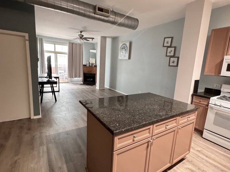 1631 S Michigan Avenue Chicago IL 60616