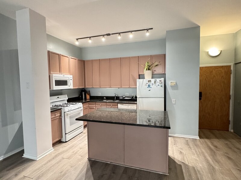 1631 S Michigan Avenue Chicago IL 60616