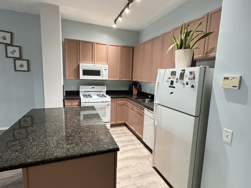 1631 S Michigan Avenue Chicago IL 60616