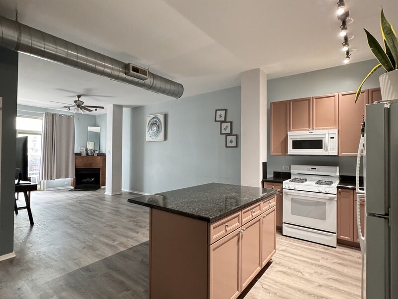 1631 S Michigan Avenue Chicago IL 60616