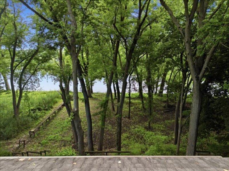 1024 Eustace Dixon IL 61021