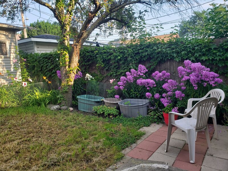 3624 S Parnell Avenue Chicago IL 60609