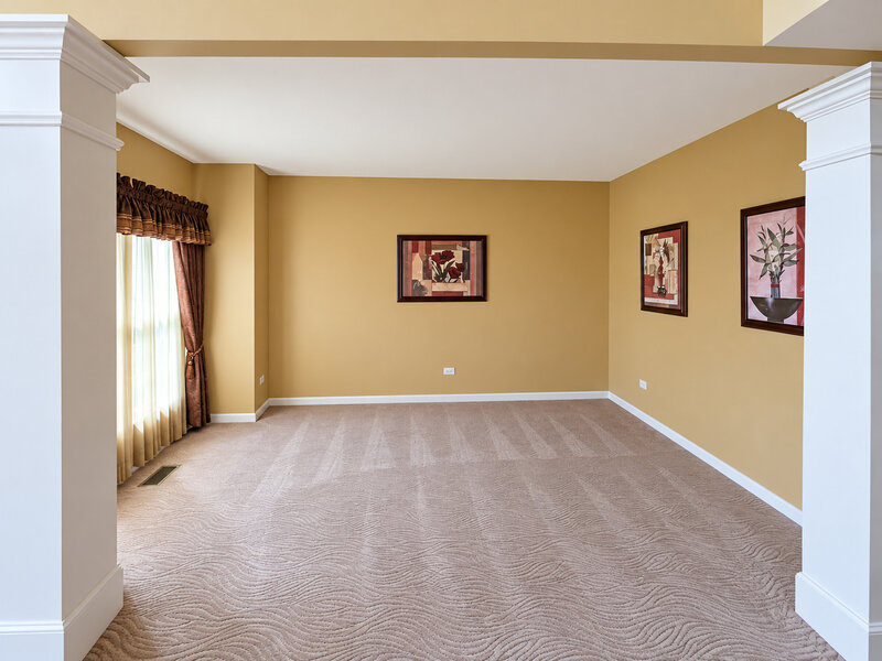 4 Snead Court Bolingbrook IL 60490