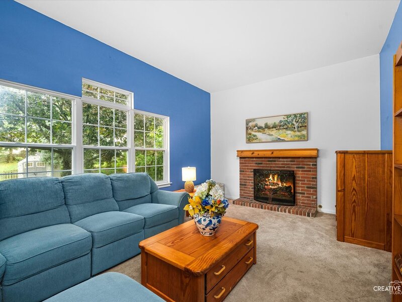 203 Parkside Lane Oswego IL 60543
