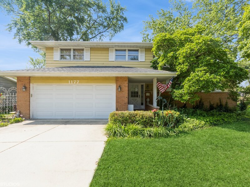 1177 Meadow Lane Elgin IL 60123