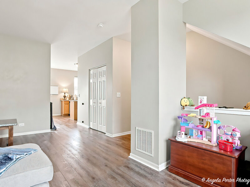 1693 W Turtle Creek Lane Round Lake IL 60073