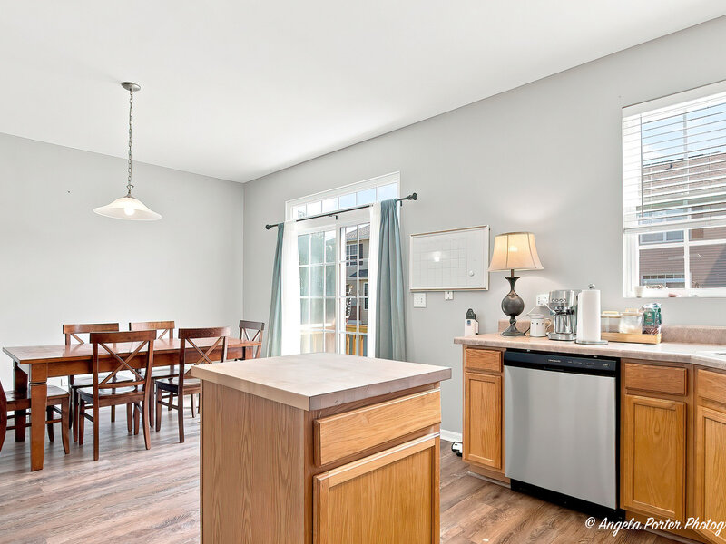1693 W Turtle Creek Lane Round Lake IL 60073