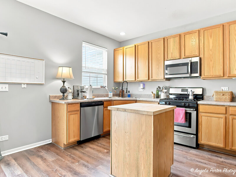 1693 W Turtle Creek Lane Round Lake IL 60073