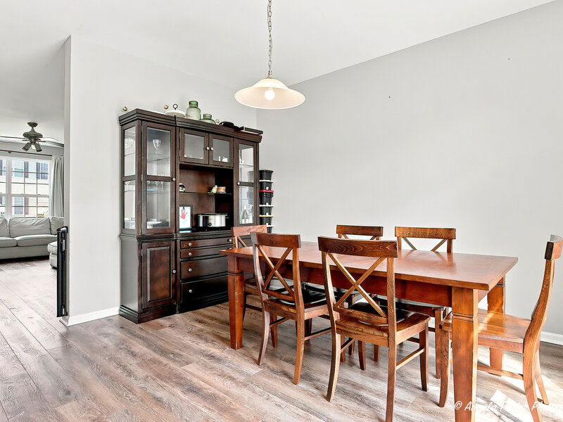 1693 W Turtle Creek Lane Round Lake IL 60073