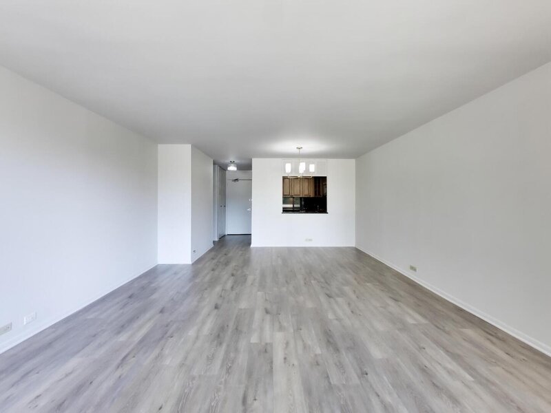1555 N Sandburg Terrace Chicago IL 60610