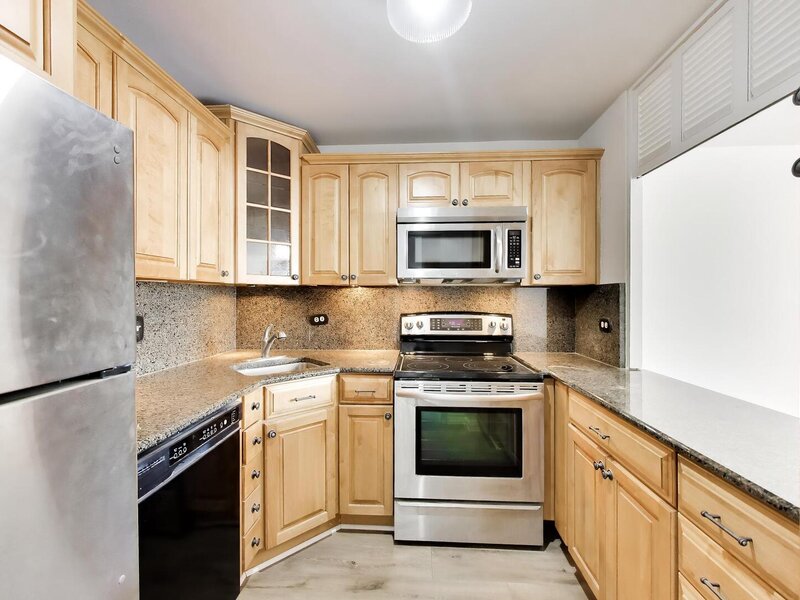 1555 N Sandburg Terrace Chicago IL 60610