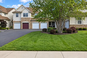 Photo of 8638 Saddlebred Court Frankfort IL 60423