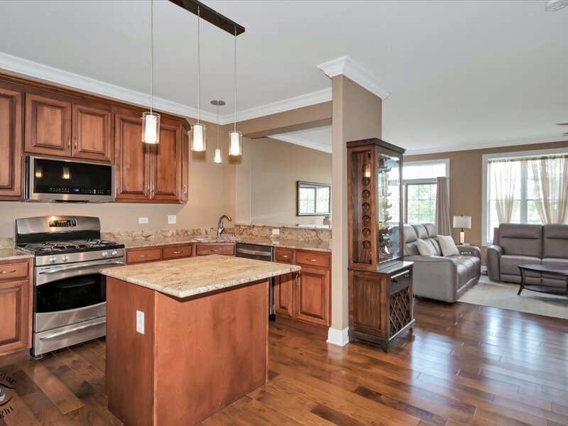 8638 Saddlebred Court Frankfort IL 60423