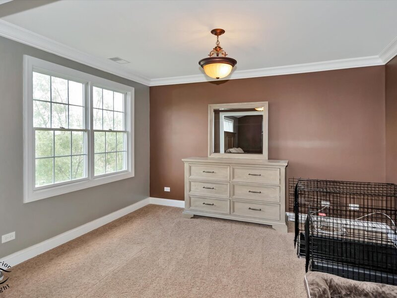 8638 Saddlebred Court Frankfort IL 60423