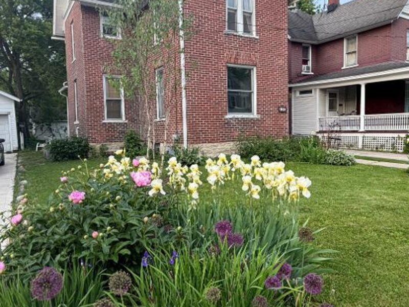 446 W Park Avenue Aurora IL 60506