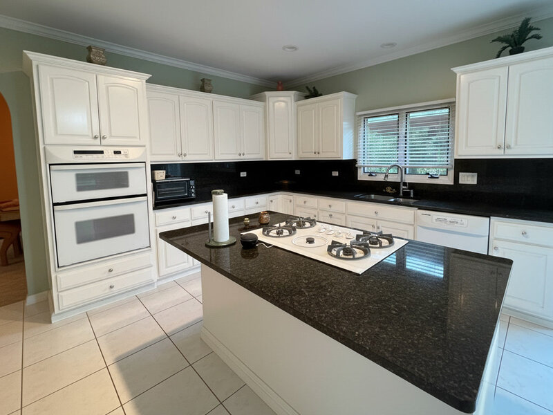 336 Tuttle Drive Bloomingdale IL 60108