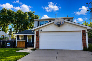 Photo of 233 Yellow Pine Drive Bolingbrook IL 60440