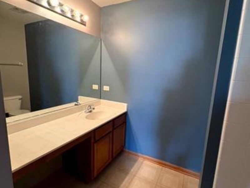 1301 Burns Court Minooka IL 60447