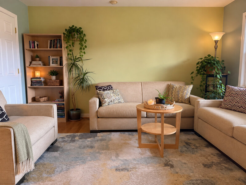 1105 Holiday Lane Des Plaines IL 60016