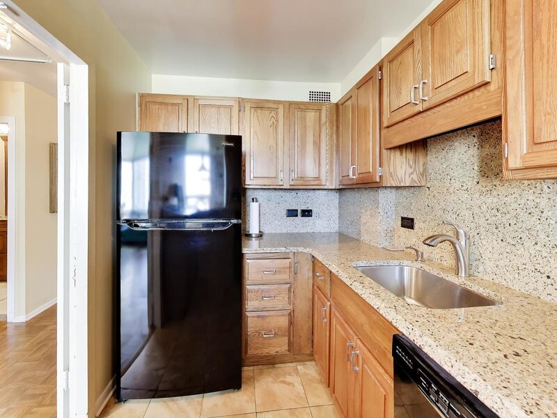 1455 N Sandburg Terrace Chicago IL 60610