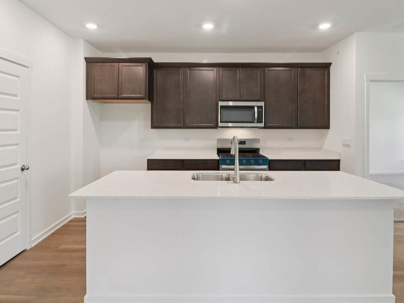 1141 Wood Lily Lane Bartlett IL 60103