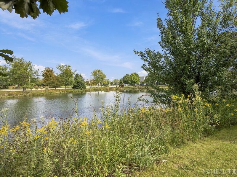 14642 Paul Revere Lane Plainfield IL 60544