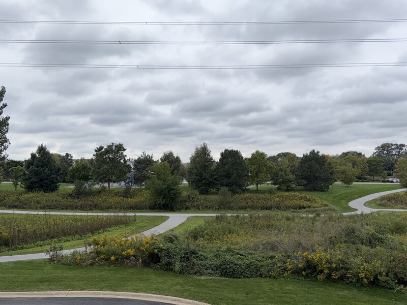 17942 Fountain Circle Orland Park IL 60467