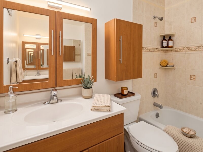 539 W Stratford Place Chicago IL 60657