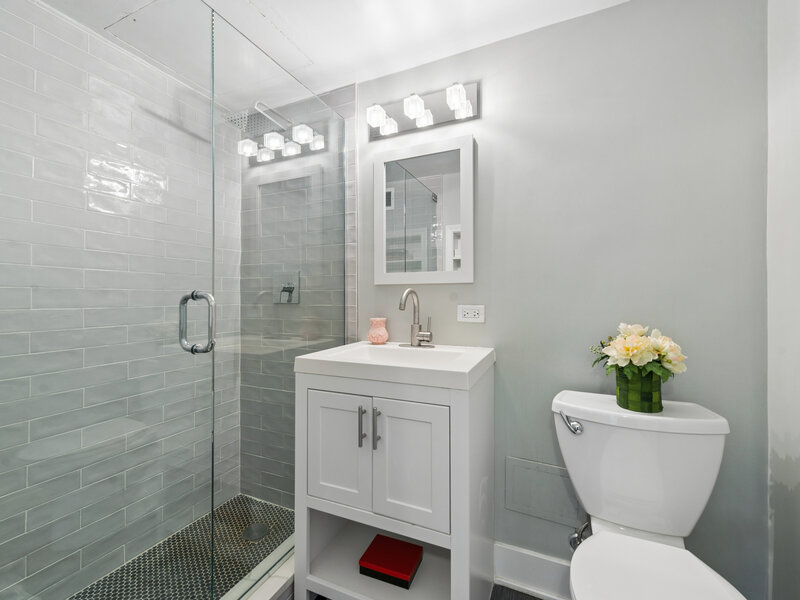 850 N Dewitt Place Chicago IL 60611